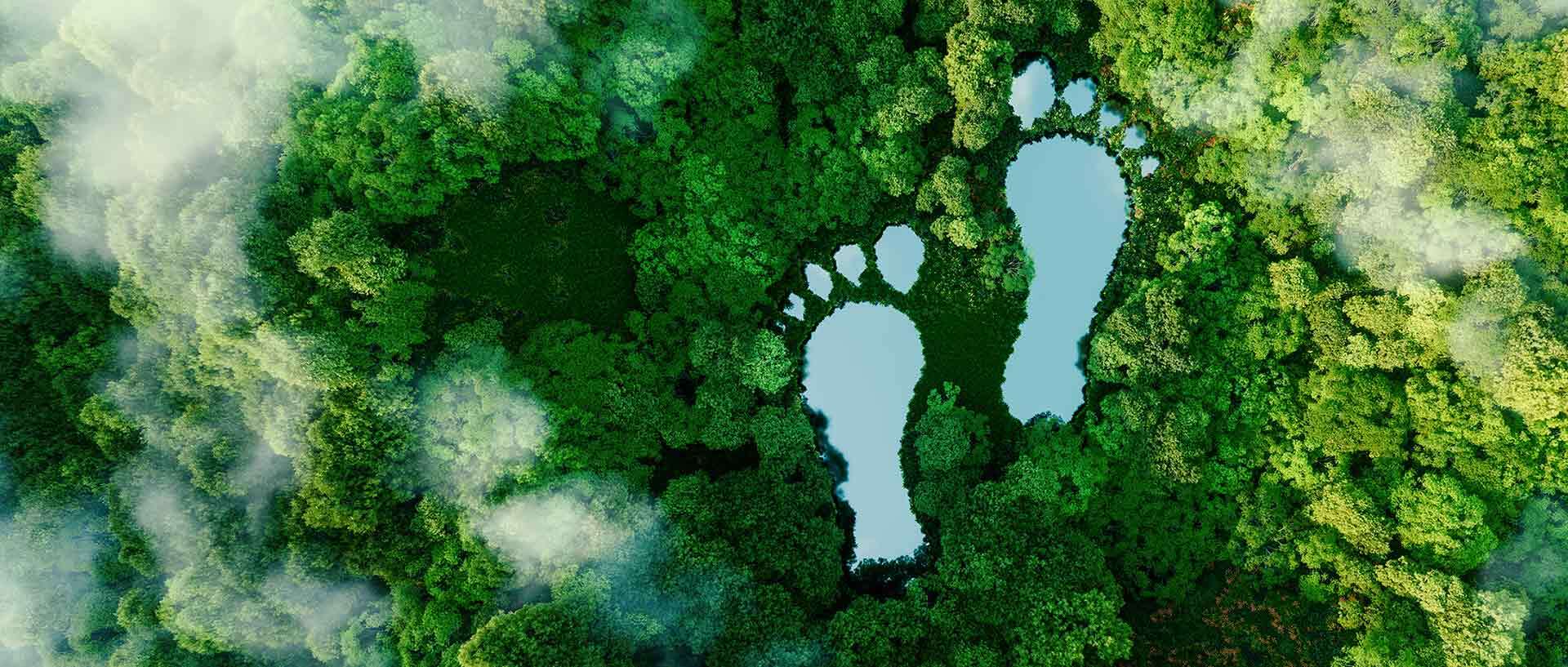 Waldinventur: Holzvorr&auml;te gehen erstmals zur&uuml;ck &ndash; Aktive Bewirtschaftung dringend notwendig